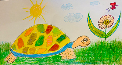 turtle kids artwork